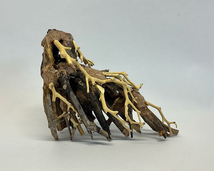 Octopus Wood - Approximately 15-18cm x 20-22cm #OW1